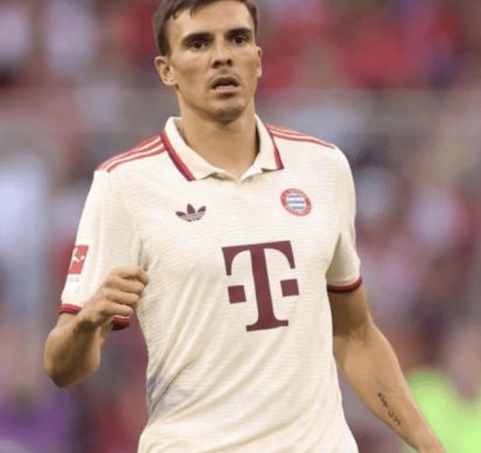 买断费2700万镑!英媒:热刺倾向于买断30岁中场帕利尼亚