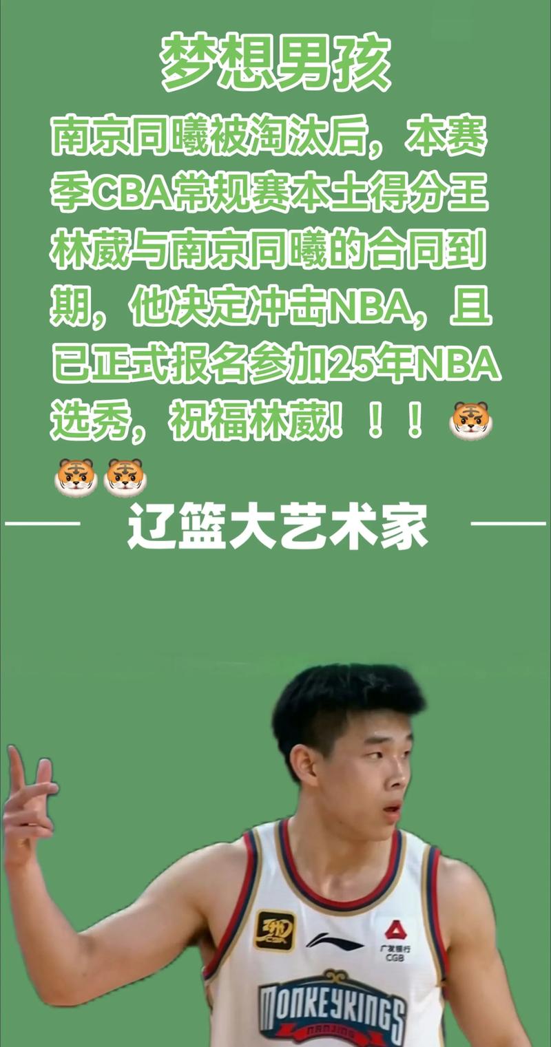 最迟明年1月才能打NCAA林葳职业规划一塌糊涂，只因走错一步棋