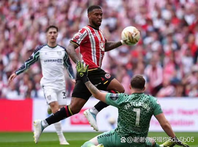 桑德兰主帅：如果球队达不到应有的水平，那我们无法在英超立足