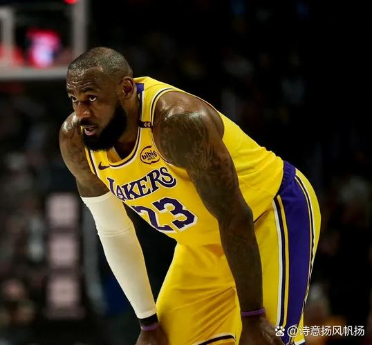 雷迪克：很难忽视詹姆斯的存在 但必须专注于现有的这些球员