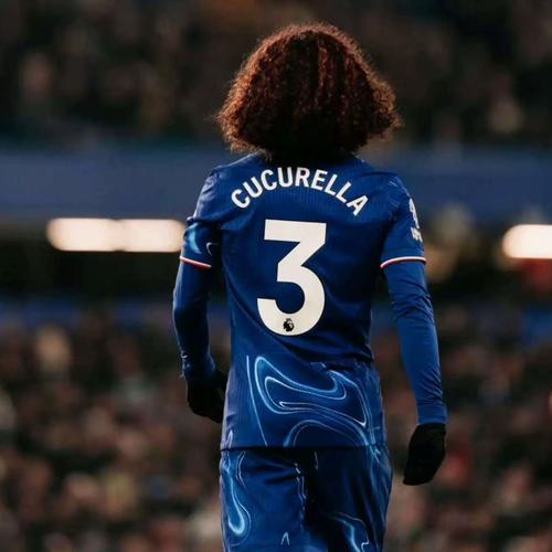 切尔西2025年各项赛事参与进球榜：恩佐20球居首，帕尔默次席