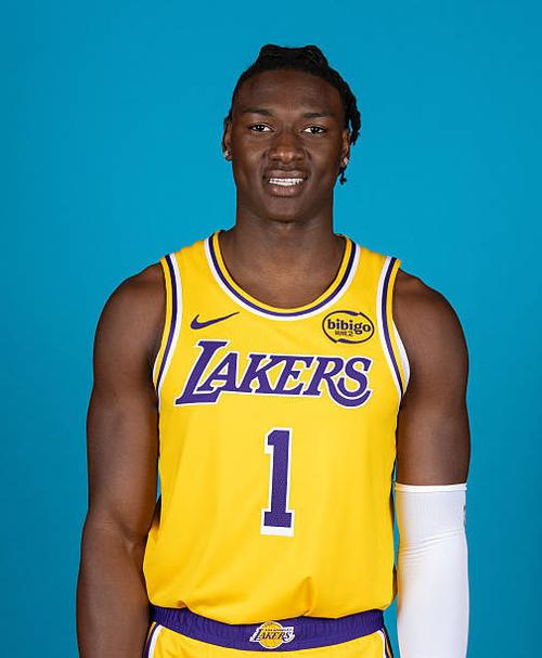 明日战森林狼!湖人伤病报告:詹姆斯 克莱伯 蒂耶罗继续缺阵