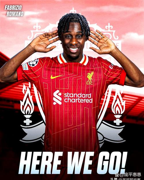 费迪南德：加克波无法取代迪亚斯的作用 利物浦新援还没适应球队