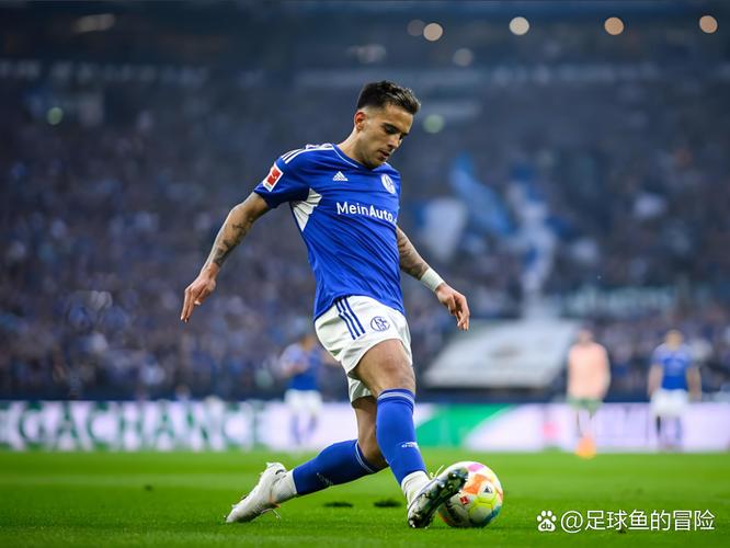 沙尔克04今年能否重返德甲? 穆斯利奇带队重回正轨