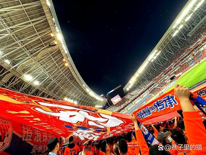 2025年的最后一个主场圆满结束,感谢所有支持泰山队的球迷们