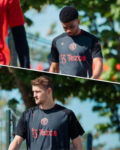 谢林汉姆：约克雷斯比舍什科更快融入球队，转会博弈枪手占据上风