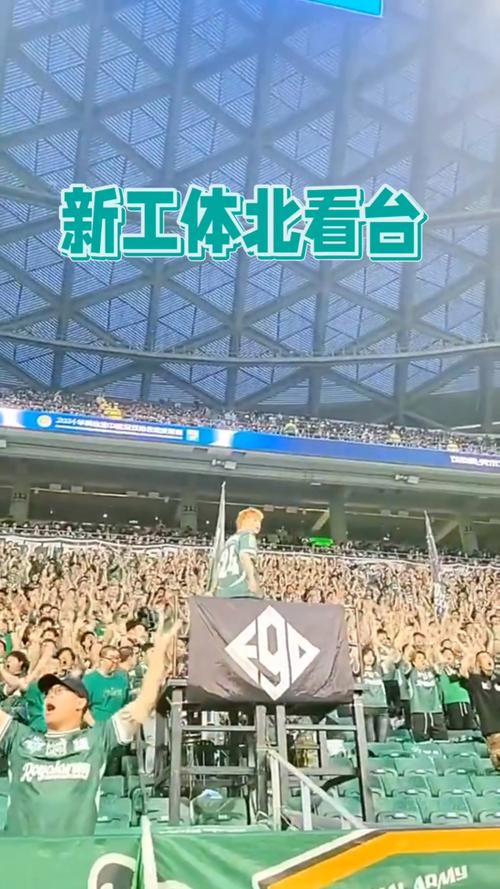 21371名球迷前往工体,现场观看国安vs大埔