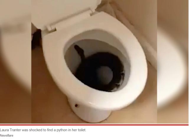 哈姆：我们这行最恶毒的词就是“消息人士” 这种报道都该冲马桶