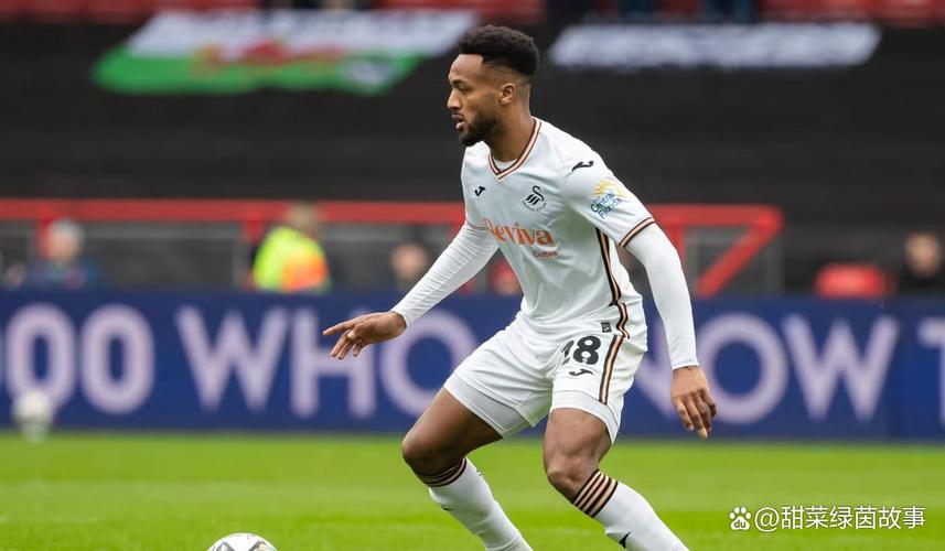 英冠第18位，天空：斯旺西准备解雇主教练艾伦·希恩