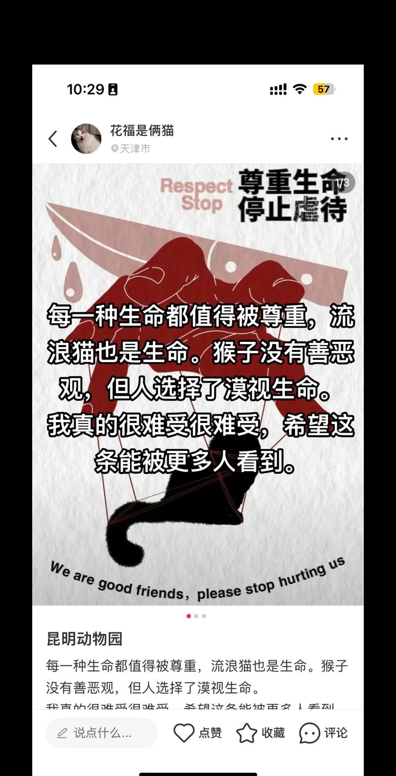 有些戏剧性！鹈鹕最后一攻墨菲三分不中 奎因再三分三不沾