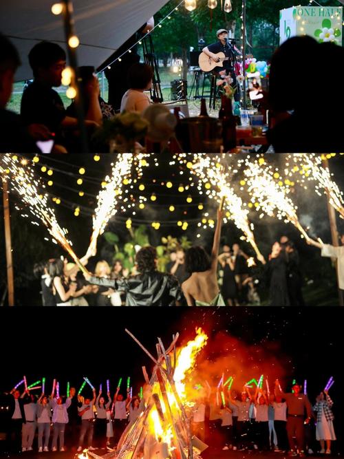 主队降级!瑞典北雪平球迷比赛时向球场投掷烟花,导致草坪着火